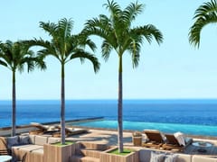 Proyecto de apartamentos en venta en Boca Chica – foto 5
