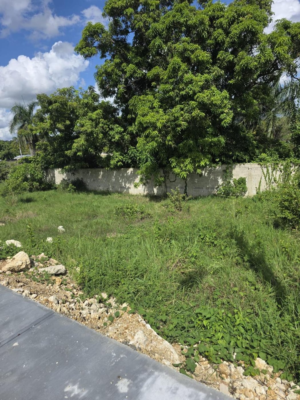 Vendo Solar en Hato Nuevo – foto 3