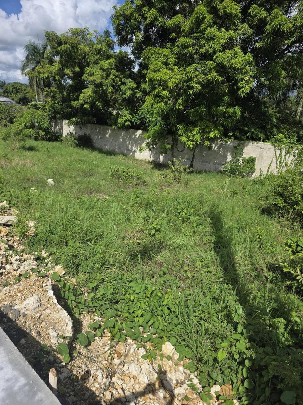 Vendo Solar en Hato Nuevo – foto 2