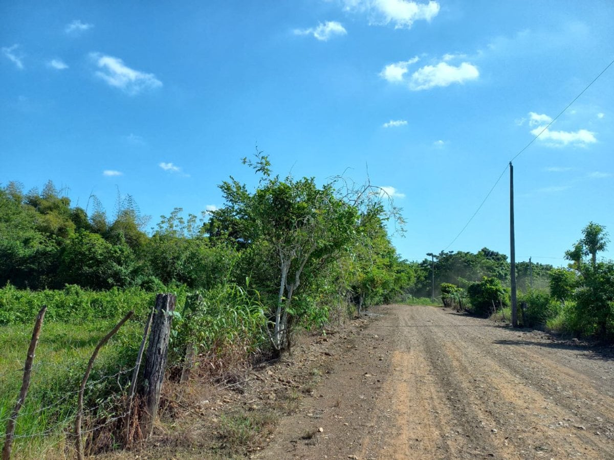 Terreno para naves por la Circunvalación-MERCA – foto 1