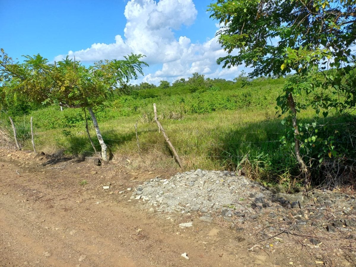 Terreno para naves por la Circunvalación-MERCA – foto 4