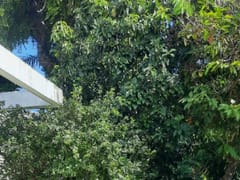 Casa en venta en Gazcue, Santo Domingo de Guzmán – foto 1