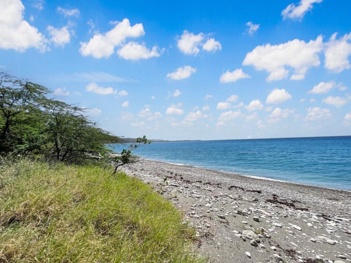 TERRENO EN VENTA PRIMERA LÍNEA DE PLAYA PALMAR DE – foto 4