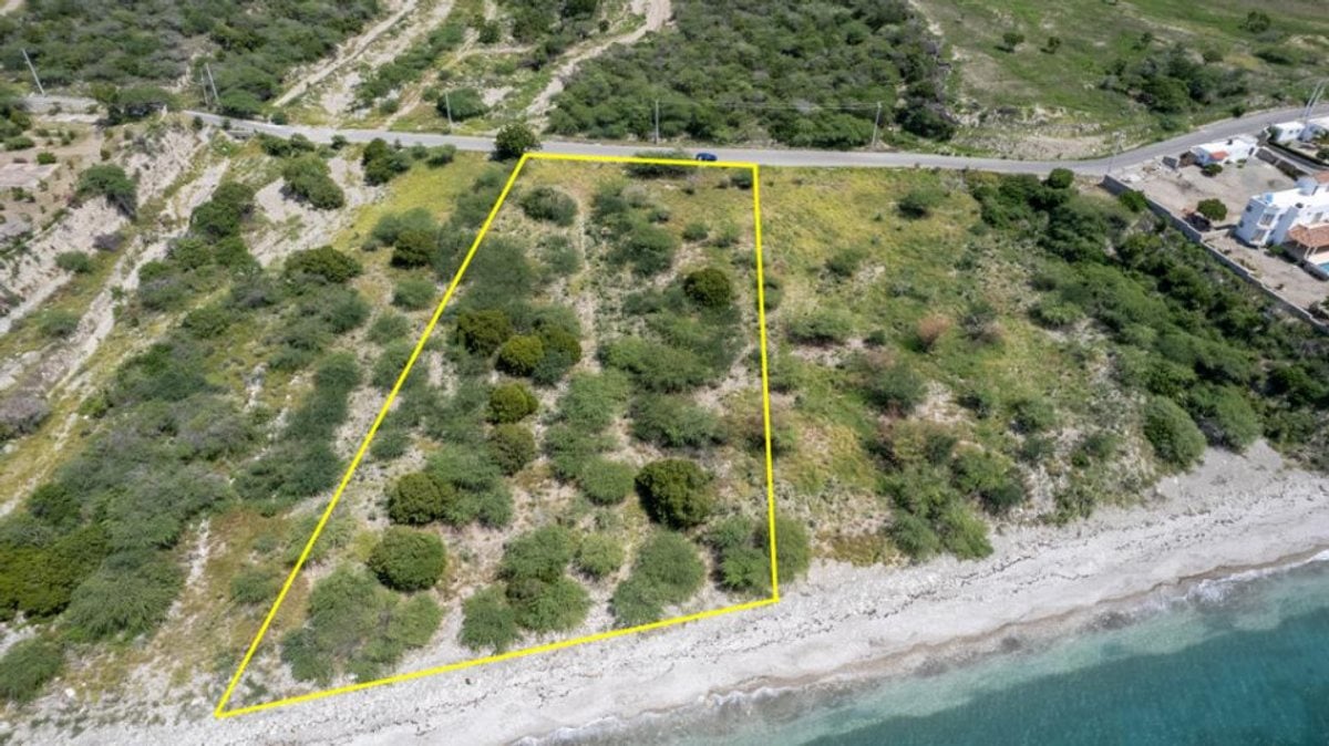 TERRENO EN VENTA PRIMERA LÍNEA DE PLAYA PALMAR DE – foto 9