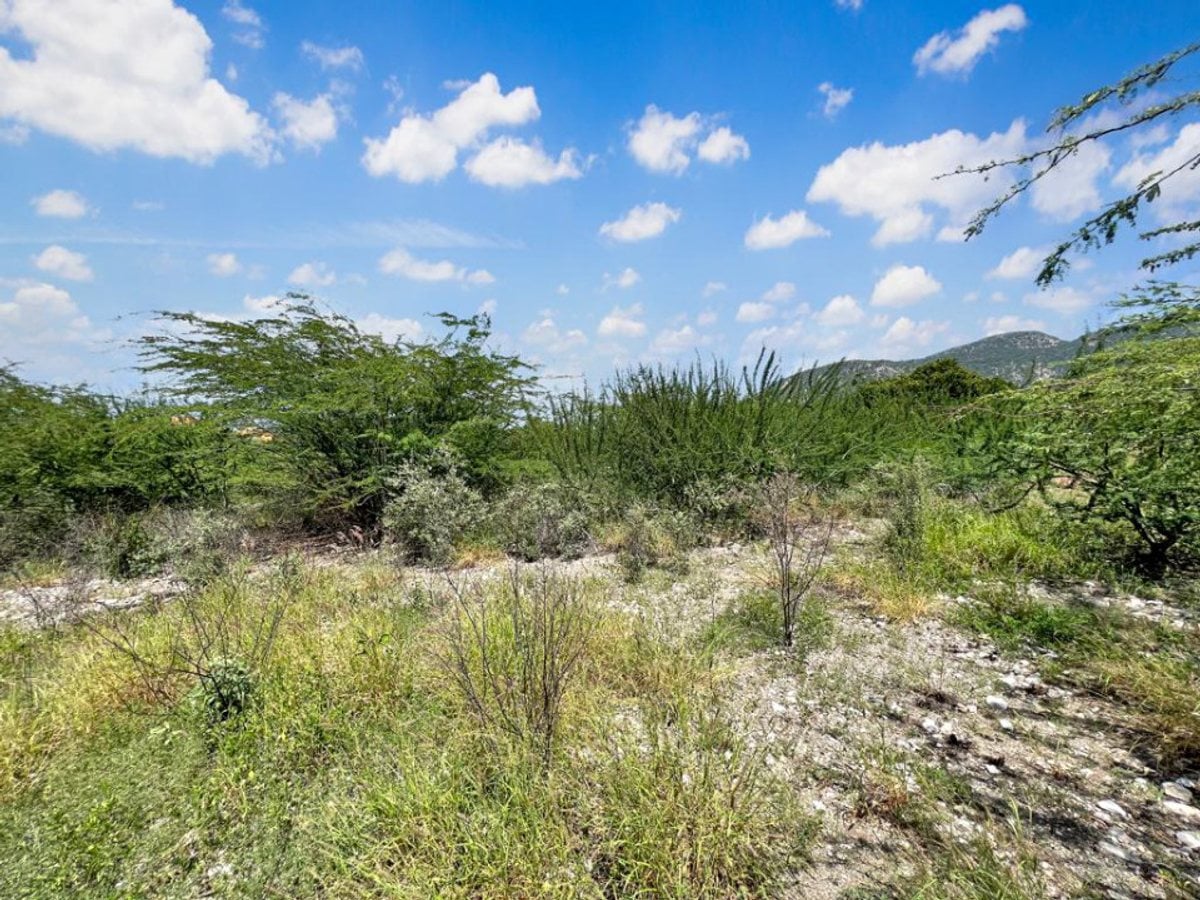 TERRENO EN VENTA PRIMERA LÍNEA DE PLAYA PALMAR DE – foto 2