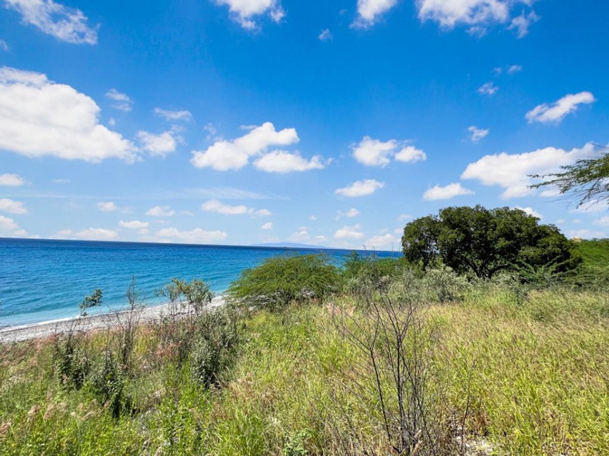 TERRENO EN VENTA PRIMERA LÍNEA DE PLAYA PALMAR DE – foto 5