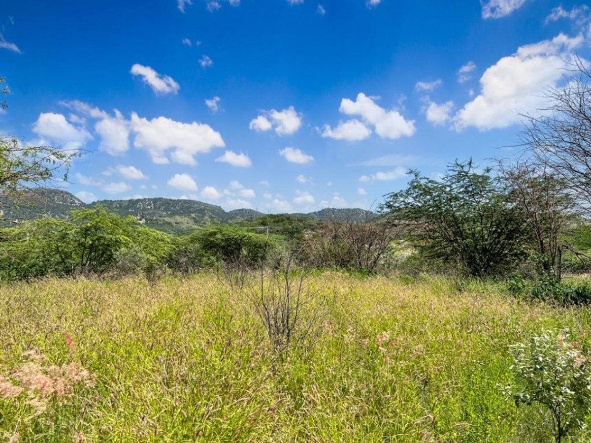 TERRENO EN VENTA PRIMERA LÍNEA DE PLAYA PALMAR DE – foto 3