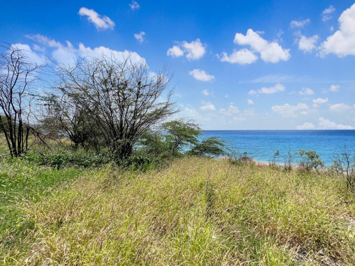 TERRENO EN VENTA PRIMERA LÍNEA DE PLAYA PALMAR DE – foto 6
