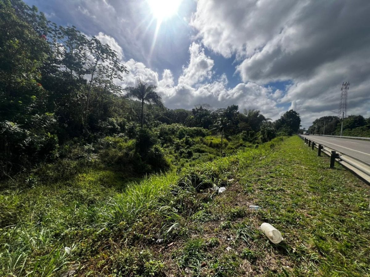 Terreno en Autopista Duarte. – foto 3