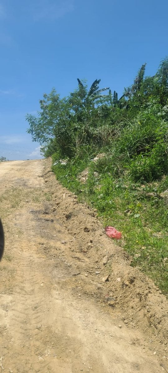 Terreno en venta en Pantoja, SD Oeste – foto 7