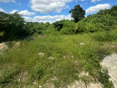 Terreno en venta en Metro Country Club, San Pedro – foto 1
