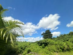 Terreno en venta en Metro Country Club, San Pedro – foto 2
