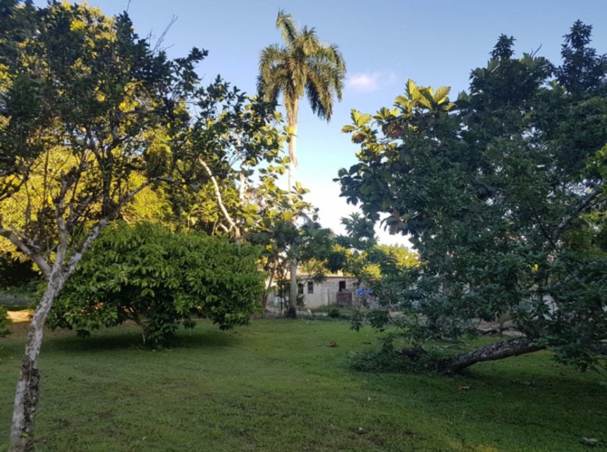 Terreno Amplio en Santo Domingo Este – foto 3