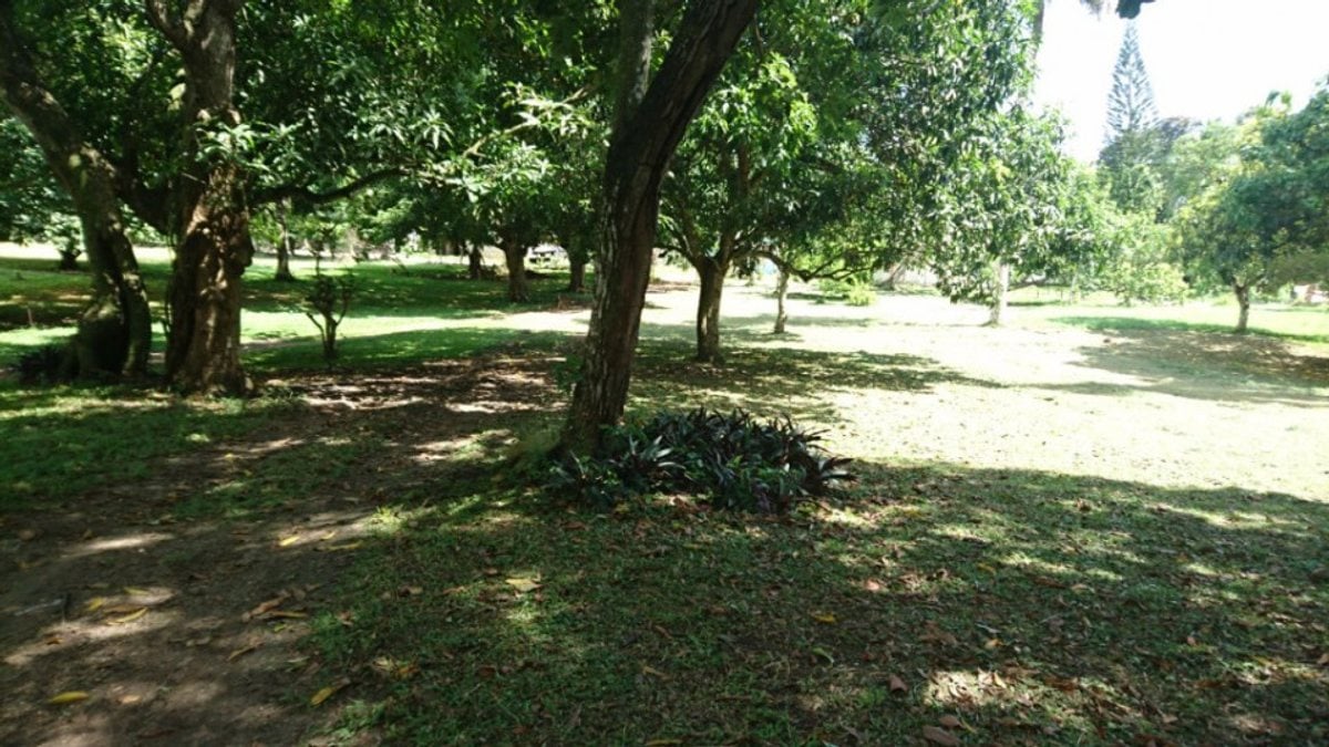 Terreno Amplio en Santo Domingo Este – foto 2