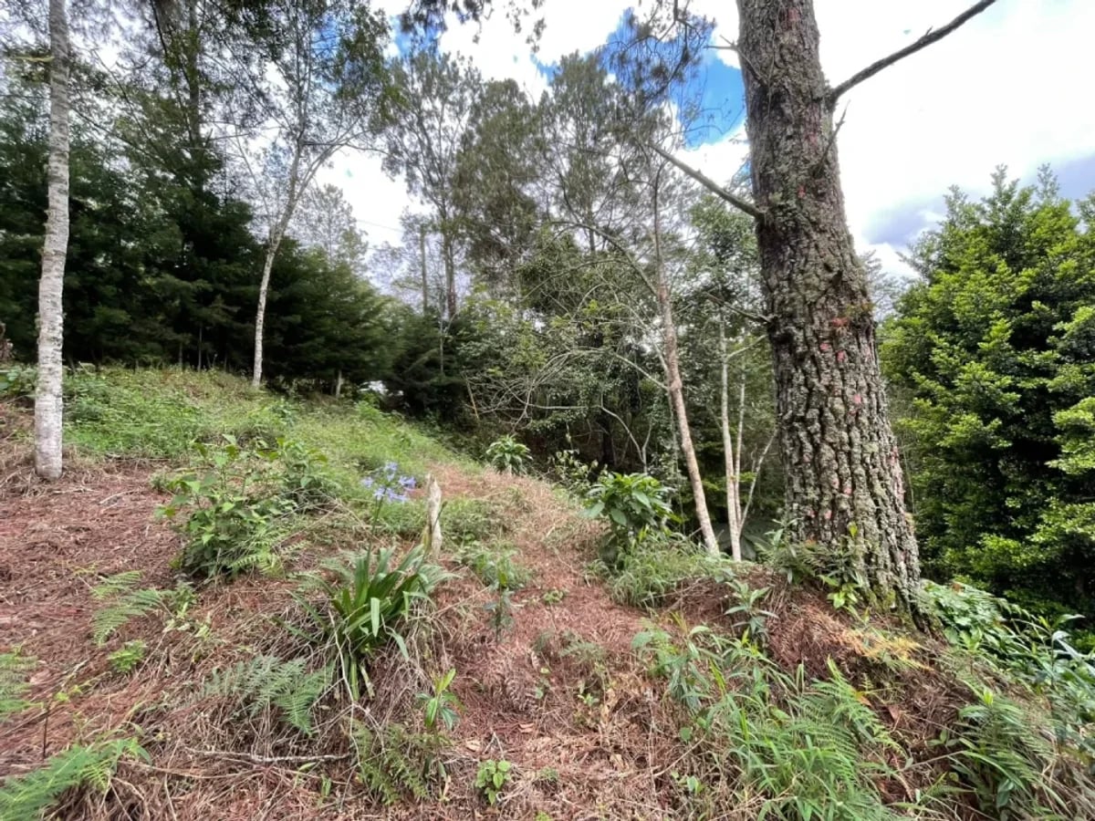 Venta Terreno Constanza Hills – foto 1