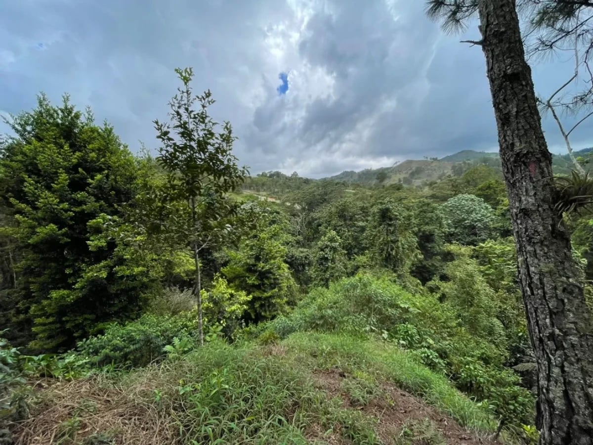 Venta Terreno Constanza Hills – foto 2