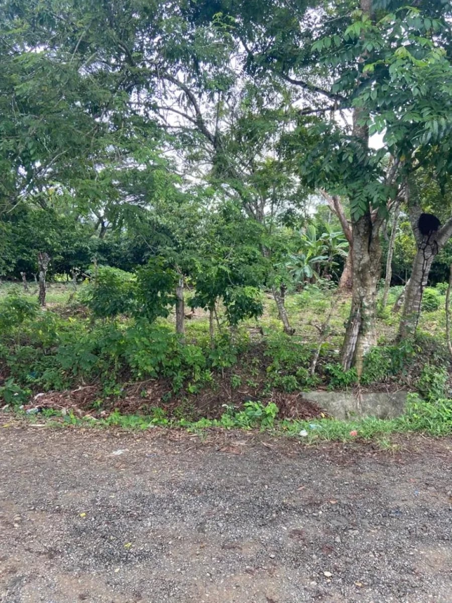 Terreno mixto en Monte Plata – foto 1