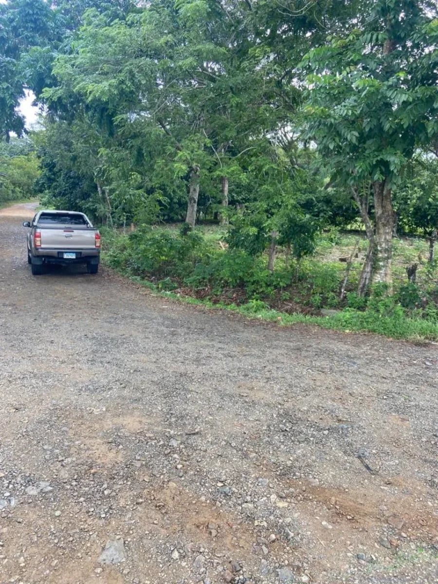 Terreno mixto en Monte Plata – foto 4