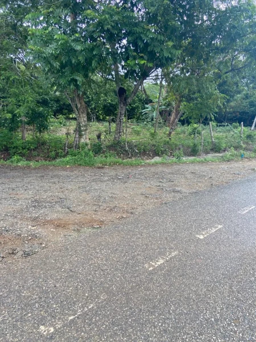 Terreno mixto en Monte Plata – foto 5