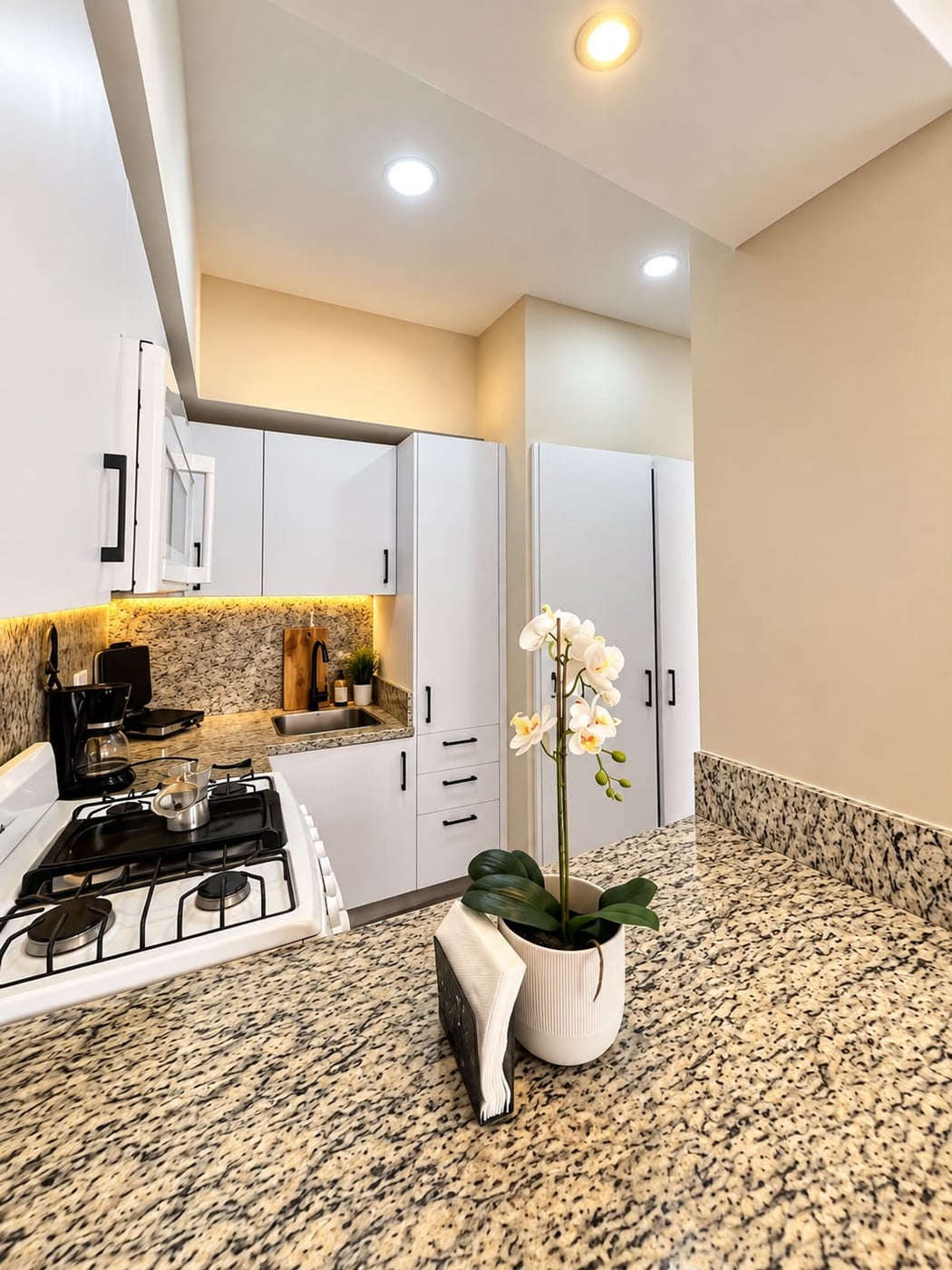 APARTAMENTO EN VENTA 1 DORMITORIO NACO SANTO DOMIN – foto 4