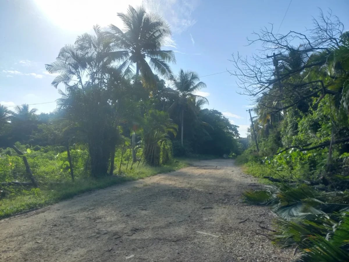 SOLAR EN VENTA-OPORTUNIDAD POR DEBAJO DE TASACIÓN – foto 1