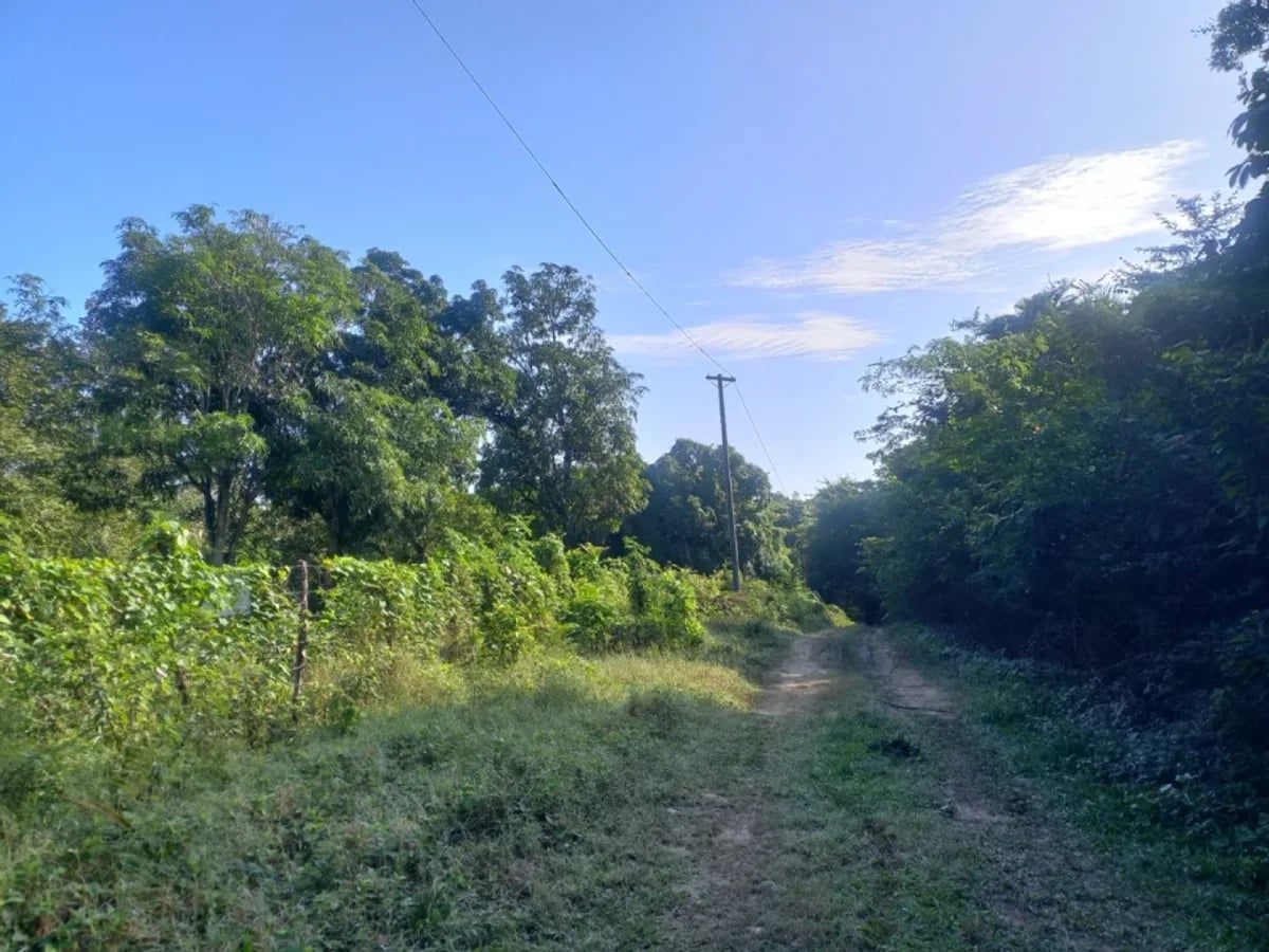 SOLAR EN VENTA-OPORTUNIDAD POR DEBAJO DE TASACIÓN – foto 6