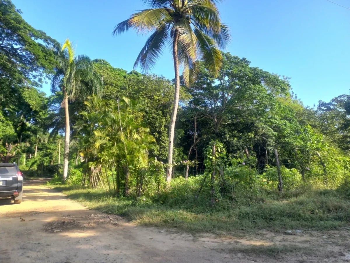 SOLAR EN VENTA-OPORTUNIDAD POR DEBAJO DE TASACIÓN – foto 7