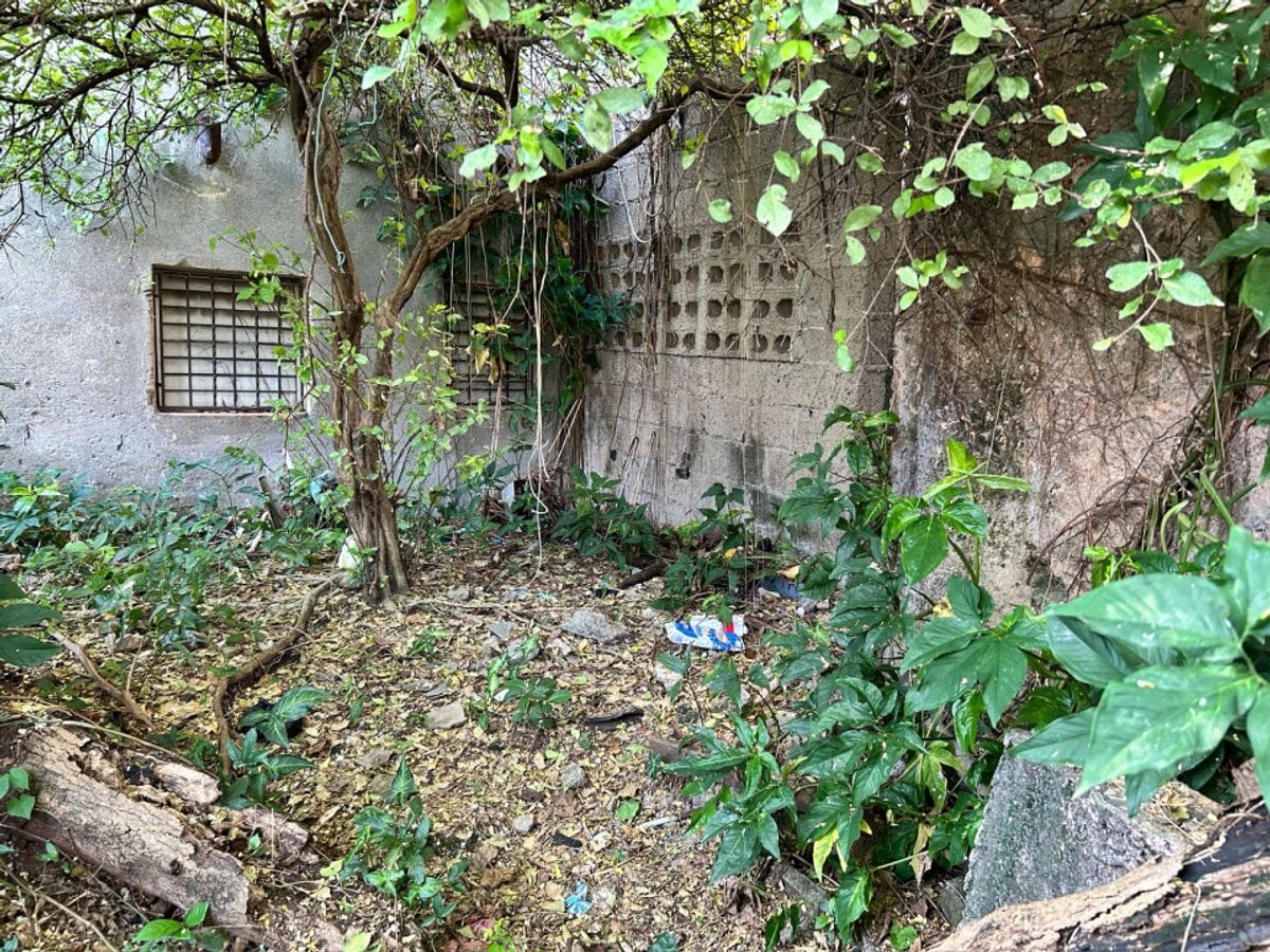 Propiedad para restaurar en la Zona Colonial – foto 5