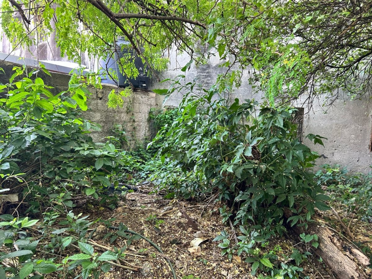 Propiedad para restaurar en la Zona Colonial – foto 3