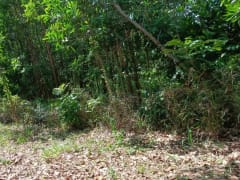 Terreno en venta en Bayaguana, Sector Las Lajas – foto 8