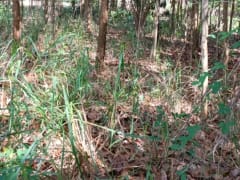 Terreno en venta en Bayaguana, Sector Las Lajas – foto 2