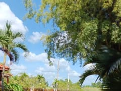 Terreno en venta en Bayaguana, Sector Las Lajas – foto 6