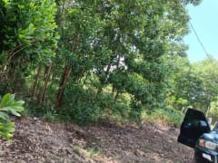 Terreno en venta en Bayaguana, Sector Las Lajas – foto 11