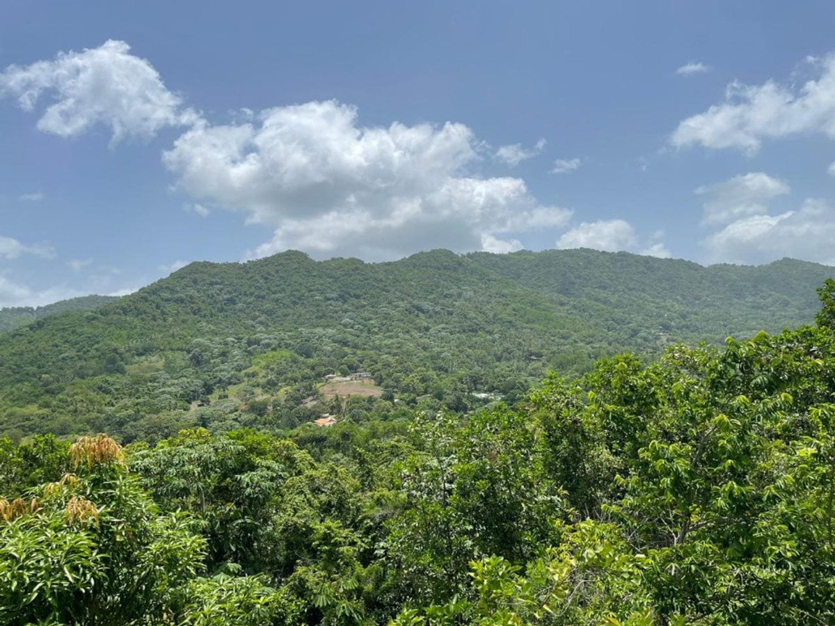 Finca En La Cuaba, Pedro Brand – foto 4