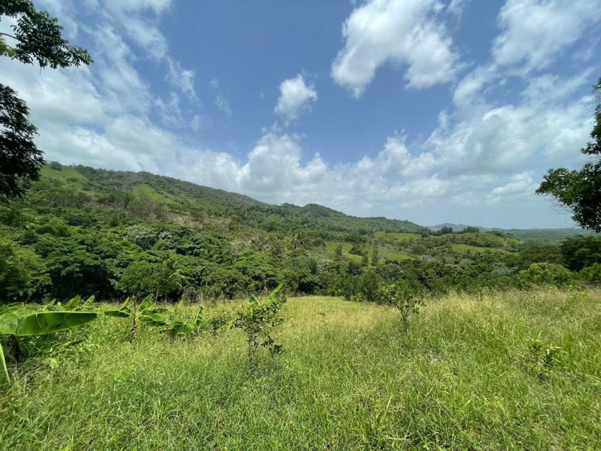 Finca En La Cuaba, Pedro Brand – foto 5