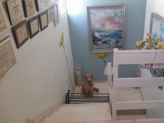 Casa en venta en Evaristo Morales – foto 4
