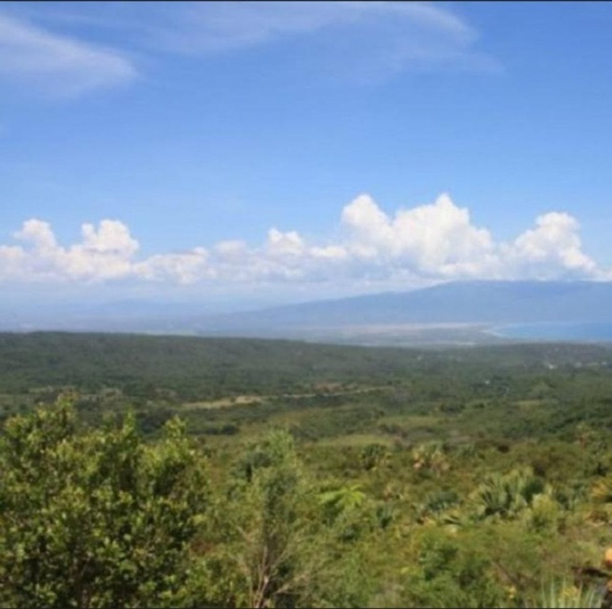 Finca En La Guázara, Barahona – foto 4