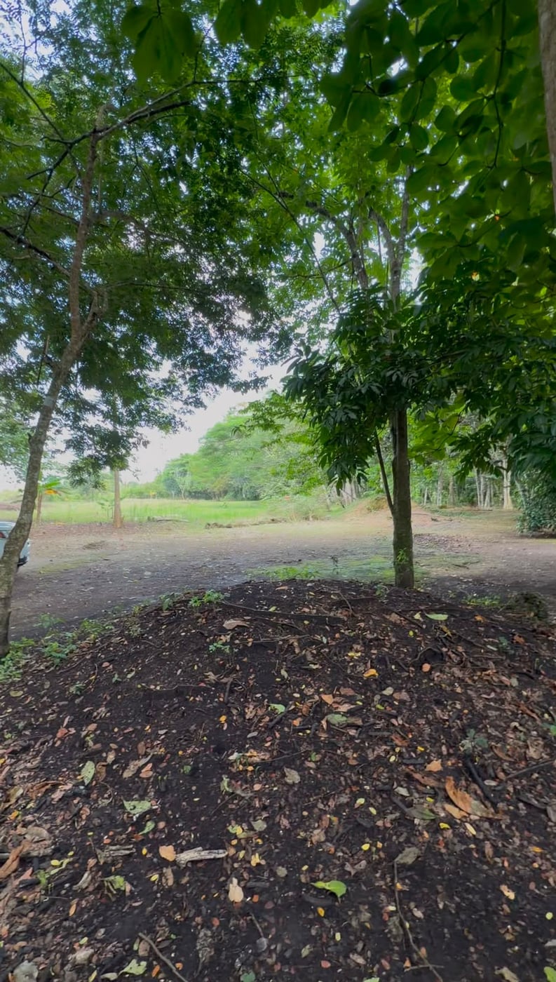 Terreno en Venta en Quintas del Tosa – foto 2
