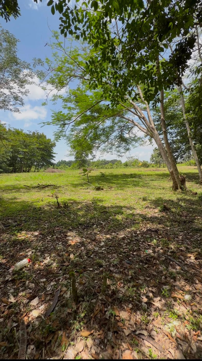 Terreno en Venta en Quintas del Tosa – foto 5