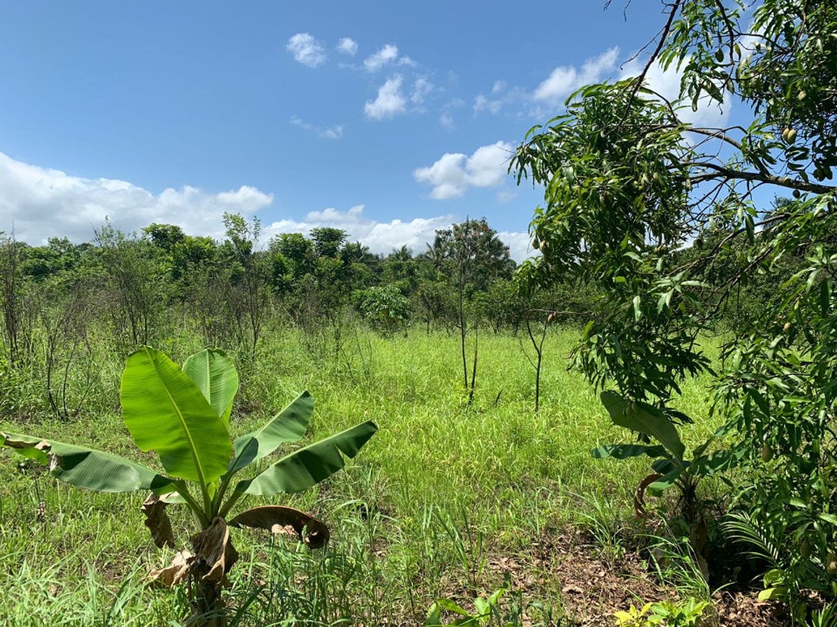 Terreno cerca de la Av. Circunvalación – foto 2