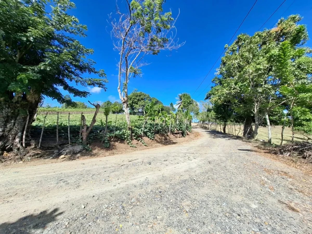 Venta terreno para finca en Las Guaranitas Bayacanes La vega – foto 3