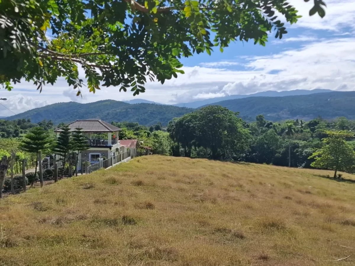 Venta terreno para finca en Las Guaranitas Bayacanes La vega – foto 1