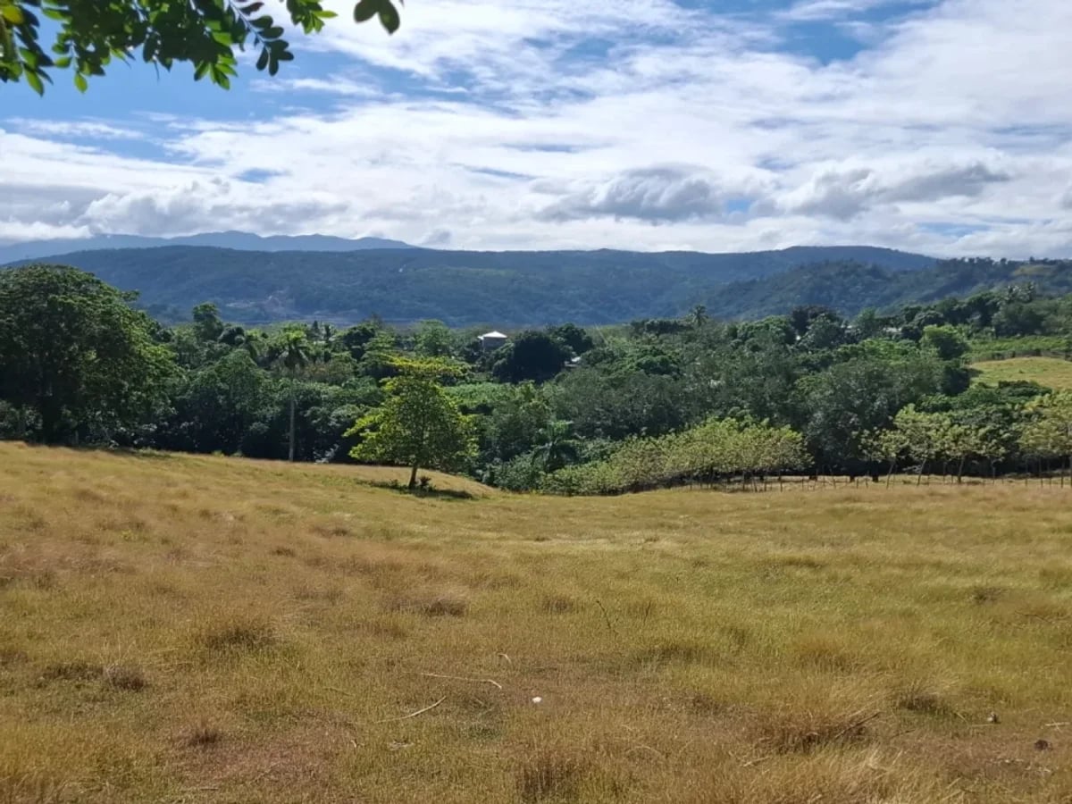 Venta terreno para finca en Las Guaranitas Bayacanes La vega – foto 7