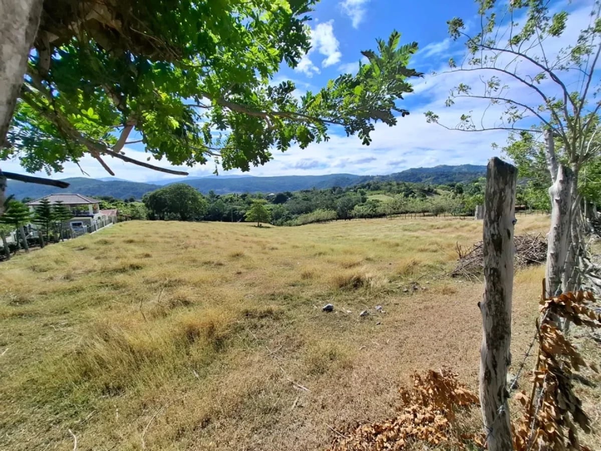 Venta terreno para finca en Las Guaranitas Bayacanes La vega – foto 8