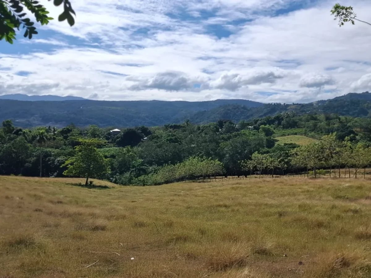 Venta terreno para finca en Las Guaranitas Bayacanes La vega – foto 5