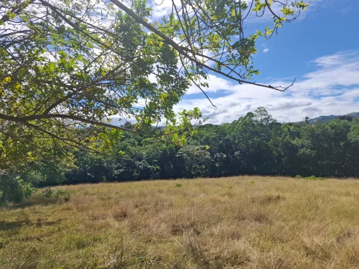 Venta terreno para finca en Las Guaranitas Bayacanes La vega – foto 4