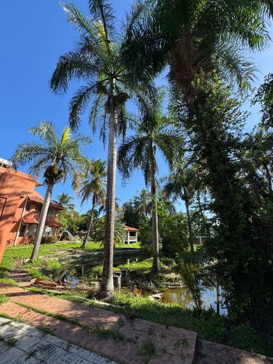 Casa de Lujo en Residencial Alameda, Santo Domingo – foto 7