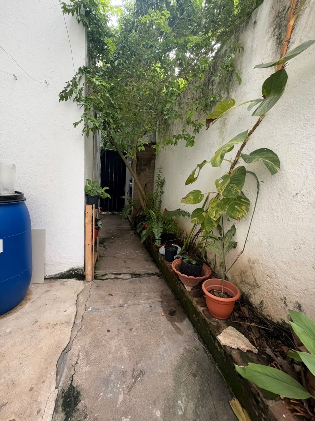 Casa en Arroyo Hondo Viejo – foto 6