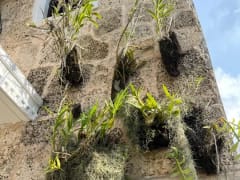 Casa en alquiler en Naco para alquilar – foto 5