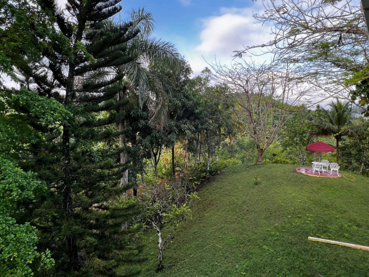 Finca en venta en Villa Altagracia, San Cristóbal – foto 7